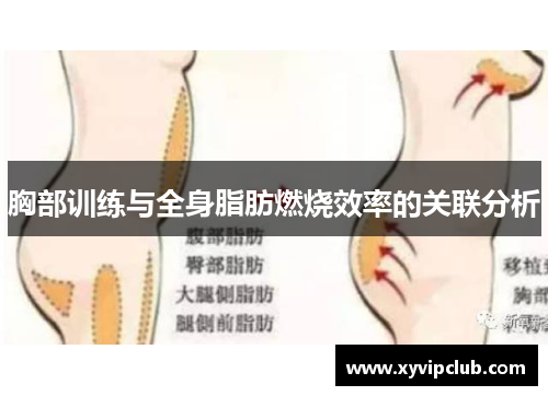 胸部训练与全身脂肪燃烧效率的关联分析